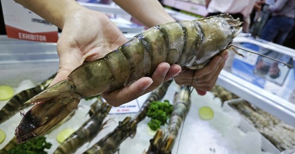 Trung Quốc ồ ạt mua tôm Việt, lần đầu soán vị trí nhập khẩu số 1 từ Mỹ