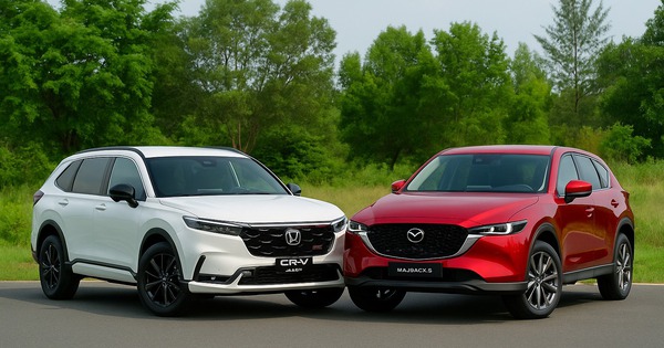 Bức tranh thị trường ô tô 8 tháng đầu năm: SUV áp đảo, MPV bứt tốc, sedan ‘hụt hơi’ - người Việt đang thay đổi thị hiếu mua xe?