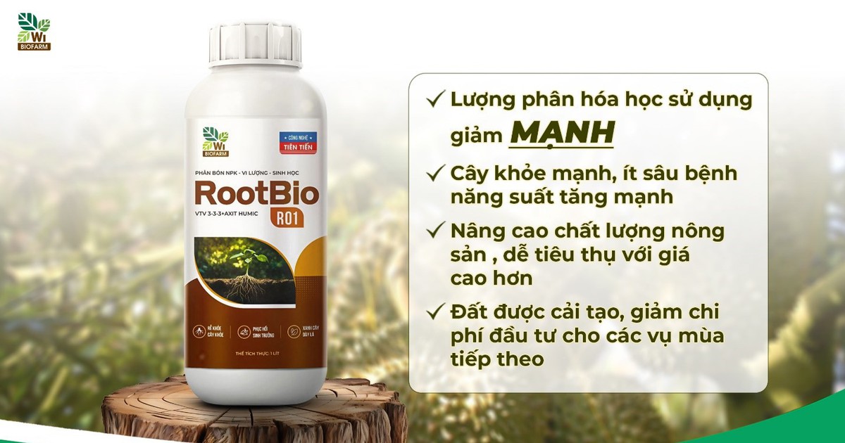 Tối ưu chi phí phân bón, tăng lợi nhuận mùa vụ cùng Rootbio R01: Giải pháp bền vững cho nhà nông Việt