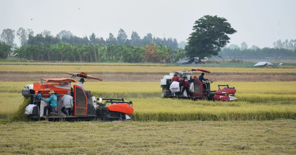 Đồng Tháp đột phá trong nông nghiệp, hướng đến phát triển nhanh và bền vững