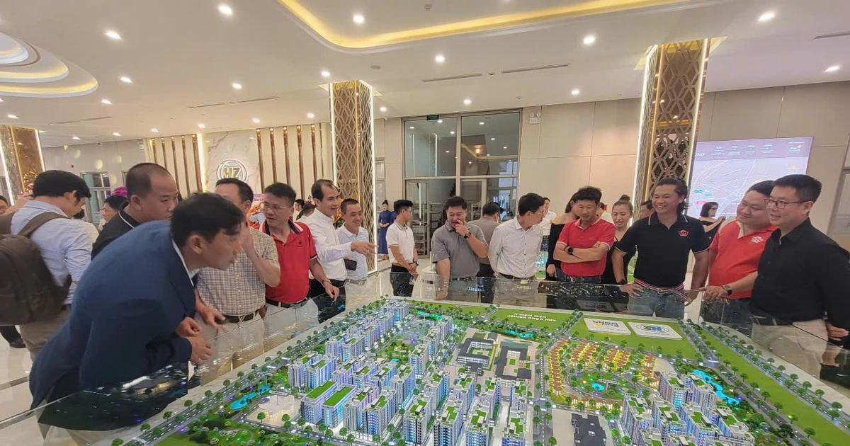 Doanh nghiệp Nhật Bản, Ấn Độ tìm kiếm cơ hội đầu tư tại KCN Hàm Kiệm II