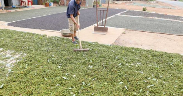 Một mặt hàng của Việt Nam đang làm mưa làm gió tại Mỹ: Chiếm thị phần bằng các đối thủ cộng lại, thế giới ngày càng khan hiếm
