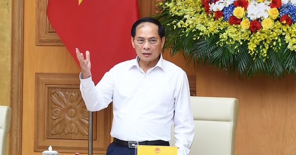 Phó Thủ tướng đề nghị Vingroup báo cáo nội dung này trước 6/10