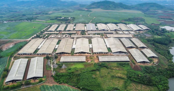 Trước Luật quy định xây trang trại cách nhà dân 200m, DN đã xây cách 270m, nhưng nay Luật tăng lên 400m, DN hỏi thì bộ ban ngành nói phải làm đúng Luật