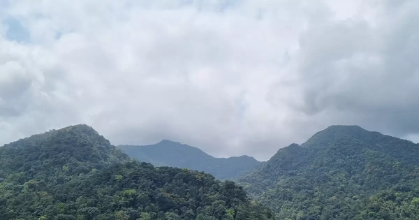 Quảng Trị xử lý thế nào với hơn 14.600 ha rừng bị chồng lấn, lấn chiếm?