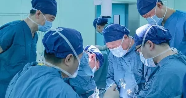Trung Quốc đạt bước đột phá trong ghép tạng: Gan lợn hoạt động trong cơ thể người