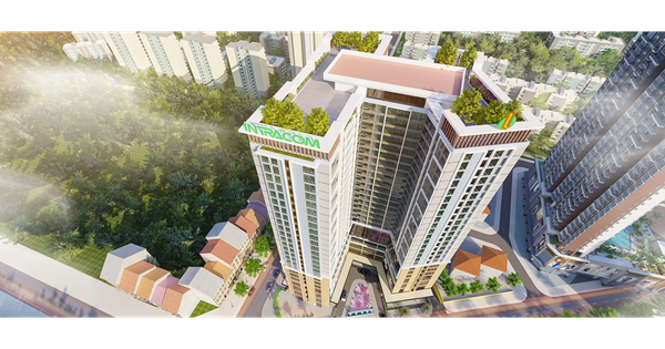 Intracom của Shark Việt bị 'điểm tên' trong danh sách chậm đóng bảo hiểm