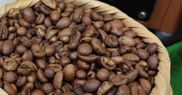 Giá cà phê hôm nay 15-10: Arabica tăng dữ dội