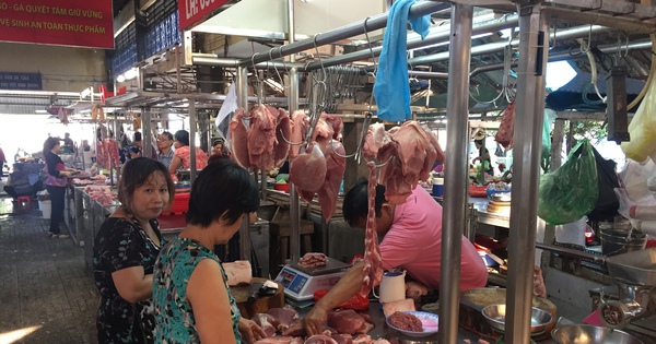 Giá heo hơi hôm nay, 17-10: Lý do khiến giá liên tục lao dốc