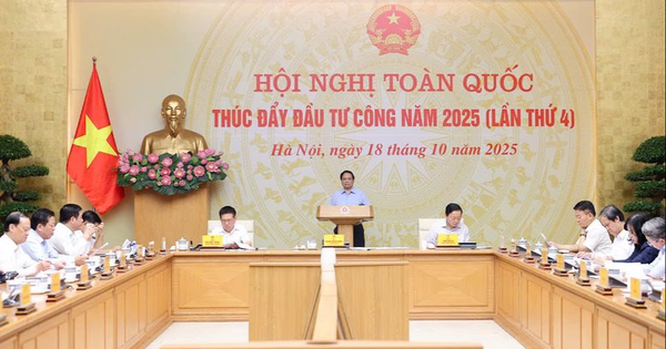 Tin vui từ Hà Tĩnh, Ninh Bình, Hải Phòng