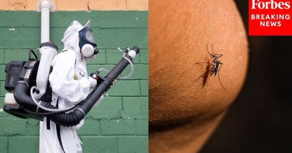 Loại virus khiến Trung Quốc phải kích hoạt kiểm soát dịch như thời Covid-19 đã xuất hiện ở quốc gia khác
