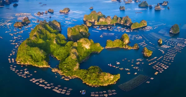 Quảng Ninh xây dựng cơ chế đặc thù cho Vân Đồn