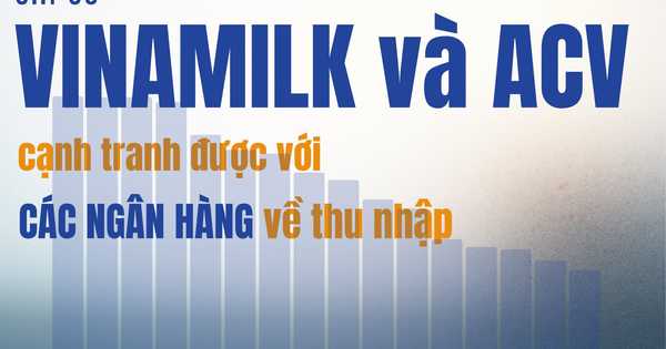 Những DN lớn nhất: Chỉ Vinamilk và ACV trả lương bình quân trên 30 triệu/tháng, cạnh tranh với Ngân hàng, công ty nào có thu nhập 70,5 triệu/tháng?
