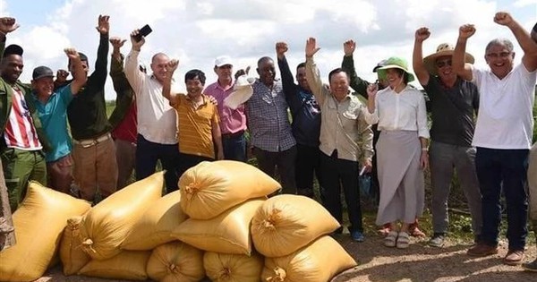 Một kỳ tích "made by Vietnam" xuất hiện, Cuba đặt mục tiêu lớn trong năm 2026