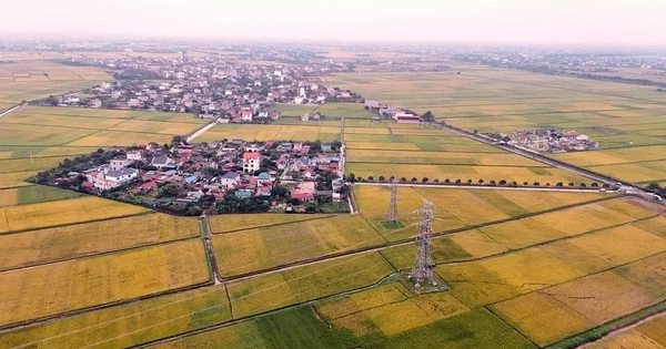 Hoàn thành thay thế cách điện đường dây 220kV mạch kép Thái Bình – Tiền Hải – Trực Ninh