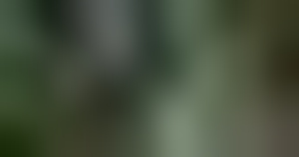 Tháo dỡ cầu sắt Long Kiểng sau nửa thế kỷ tồn tại