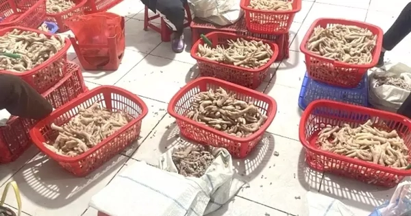 Thu giữ trên 3,5 tấn chân gà ‘bẩn’ ở khu vực biên giới