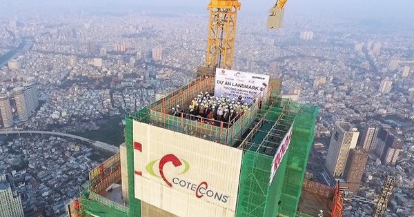 Sau 2 phiên cổ phiếu tăng kịch trần, Xây dựng Coteccons (CTD) báo lãi quý cao nhất 7 năm