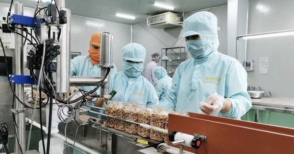 Thủ tướng yêu cầu doanh nghiệp Nhà nước báo cáo kết quả hoạt động 3 quý đầu năm