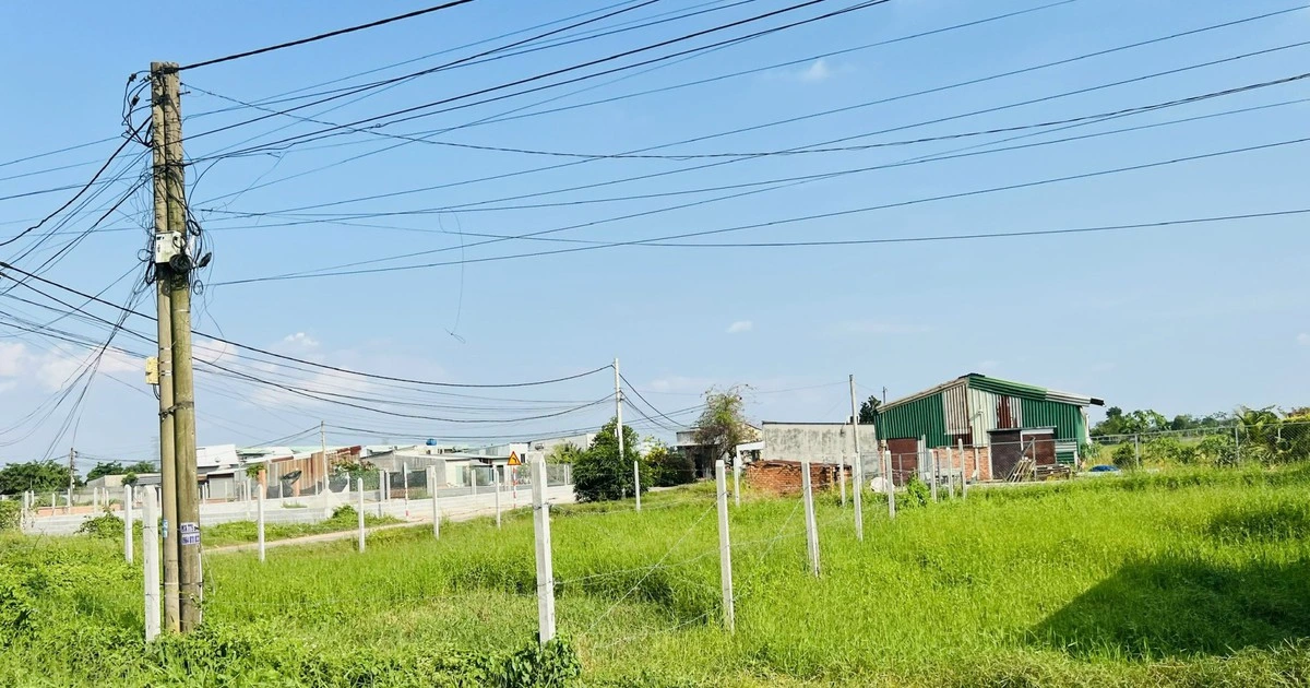 TP.HCM làm sạch dữ liệu hơn 5 triệu thửa đất