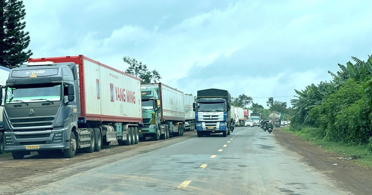 Gần 2.000 container sầu riêng ở Đắk Lắk‘ nằm đường’ chờ kiểm định