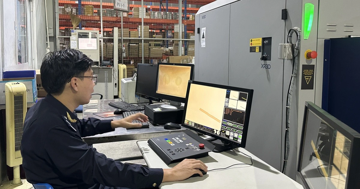 Hoa tươi, gà, cá, hàu đông lạnh để tồn quá 90 ngày hải quan Tân Sơn Nhất