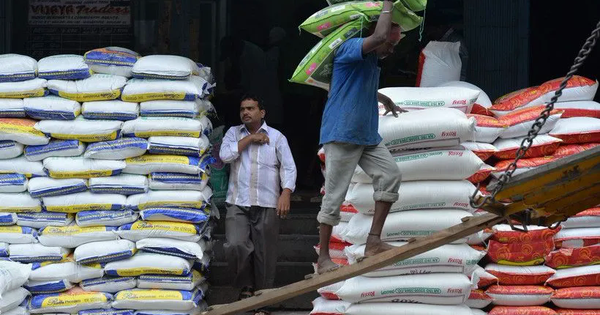 Xuất khẩu gạo Ấn Độ dự kiến tăng hơn 10% trong tài khóa 2025-2026