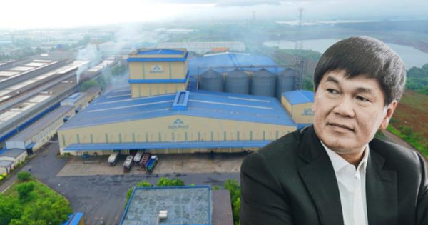 "Mỏ vàng" triệu đô của tỷ phú Trần Đình Long lộ diện: "Vũ khí bí mật" mới giúp vua thép kiếm bội tiền