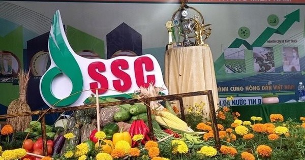 Tòa án TP.HCM tuyên bố phá sản công ty con của một công ty trên sàn chứng khoán