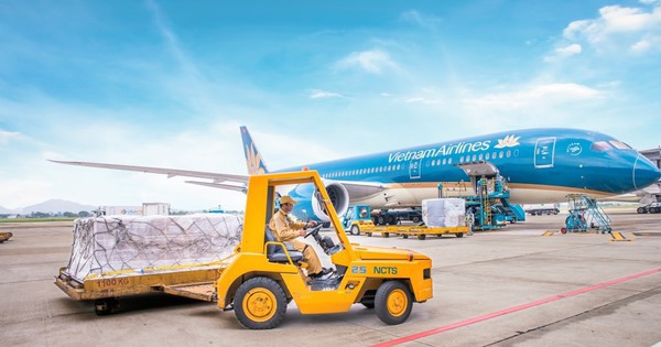 Dịch vụ Hàng hóa Nội Bài sắp chia cổ tức bằng tiền mặt tỷ lệ 80%