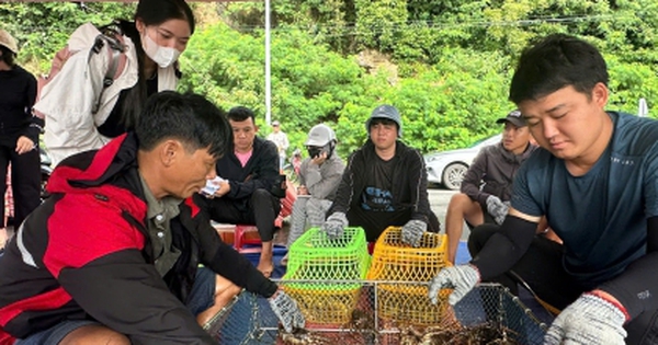 Giá tôm hùm tại Đắk Lắk giảm trước bão số 13 Kalmaegi