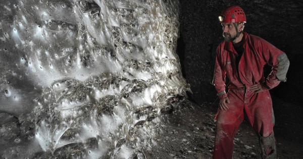 Hơn 111.000 con nhện, 106 mét vuông mạng chăng kín ẩn giấu bí mật về hệ sinh thái độc hại nhưng cân bằng