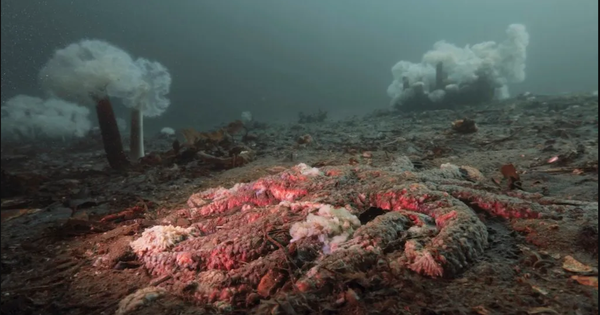 Tiếng nổ như đại bác vang lên liên tục từ lòng hồ suốt hàng trăm năm: Đáp án khiến giới khoa học sững sờ