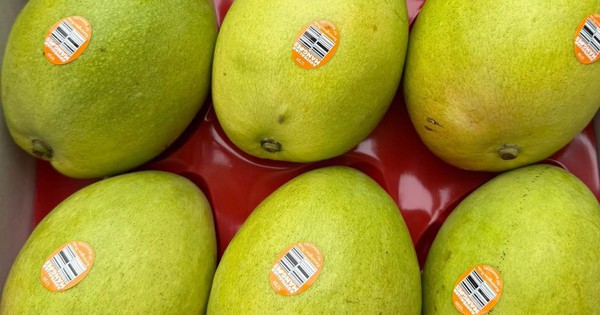 Một loại trái cây nhập khẩu từ Úc về Việt Nam giá hơn nửa triệu đồng/kg, gấp nhiều lần hàng nội