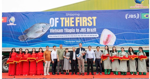 Đơn hàng 700 tấn cá rô phi Việt Nam lần đầu vào Brazil: Ai đứng sau?