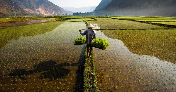 Nói "Việt Nam nuôi cả thế giới" không phải là cường điệu