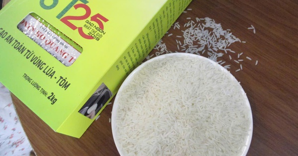 Gạo ST 25 lần thứ 3 thắng giải "gạo ngon nhất thế giới"