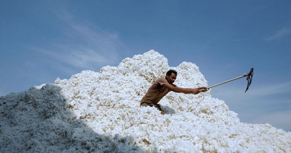 Xuất khẩu sang Trung Quốc trượt dốc, Mỹ tăng mạnh đưa một mặt hàng vào Việt Nam, giá cực rẻ