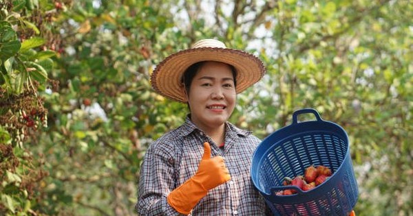 Việt Nam đã chi mức tiền kỷ lục để mua một "quốc bảo" của láng giềng