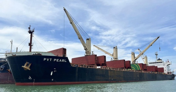 PVT Logistics sắp phát hành hơn 13 triệu cổ phiếu trả cổ tức năm 2024