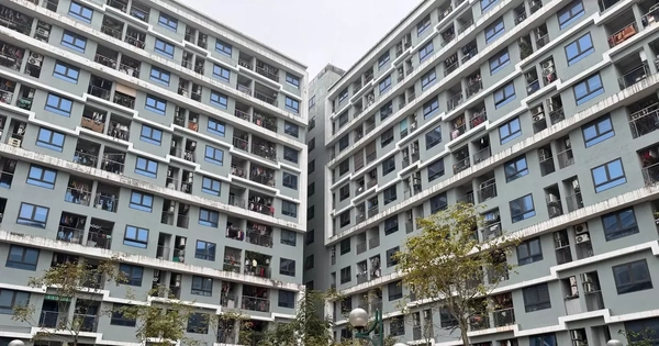 Xử phạt trục lợi nhà xã hội: Bao nhiêu mới đủ sức răn đe?