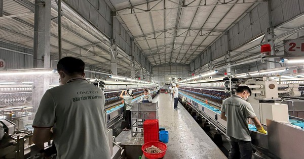 Bên trong nhà máy sợi tơ tằm xuất khẩu giá 1,6 triệu đồng/kg của Bầu Đức có gì?