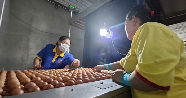 Ba Huân bị cưỡng chế ngừng thủ tục hải quan vì nợ thuế hơn 51 tỉ đồng, người trong cuộc nói gì?