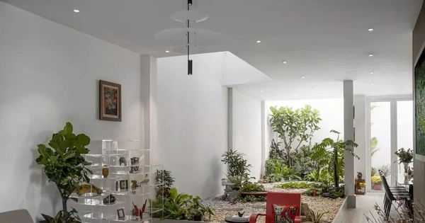 Nhà 3 tầng như villa nghỉ dưỡng giữa phố