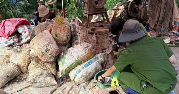 Công an Lâm Đồng tập kích ‘vàng tặc’, thu giữ 18 cây vàng