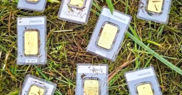 Phát hiện 10 thỏi vàng khi đang cắt cỏ, trị giá lên đến hơn 1 tỷ đồng