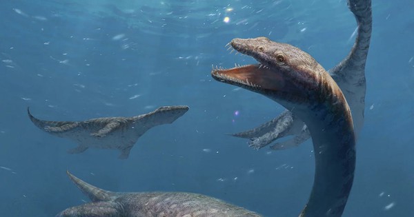 Trung Quốc: Quái vật cổ dài 42 đốt xuất hiện gần Lệ Giang cổ trấn