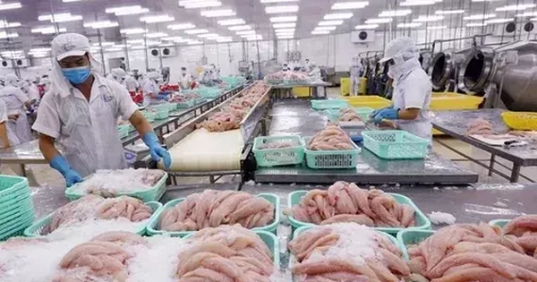 Xuất khẩu thủy sản cả năm dự báo đạt 10,5 tỷ USD