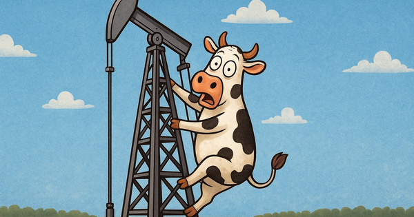 Một cổ phiếu tăng trần 5 phiên liên tiếp, doanh nghiệp nói gì?