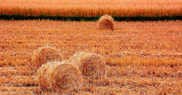 Việt Nam cùng khai thác "mỏ vàng" sản lượng gần 100 triệu tấn mỗi năm